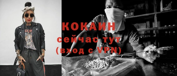 стаф Коряжма