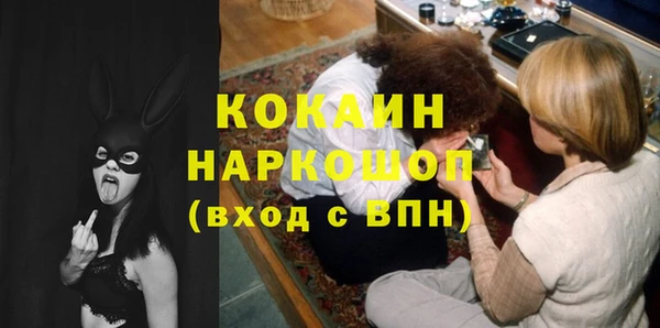 стаф Коряжма