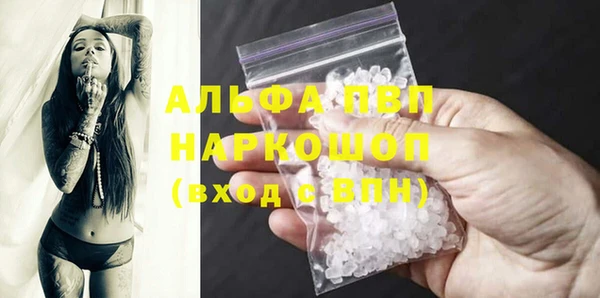 стаф Коряжма