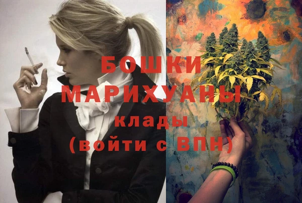 стаф Коряжма