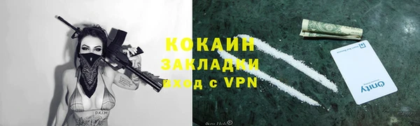 стаф Коряжма
