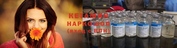 стаф Коряжма