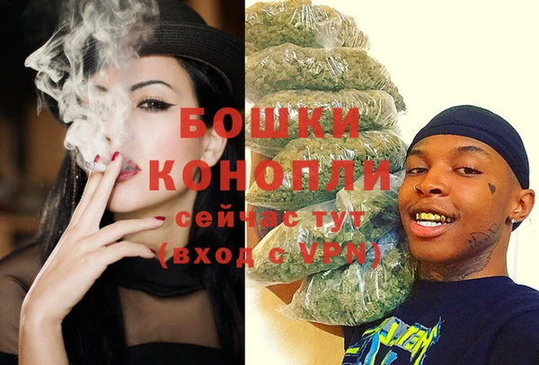 стаф Коряжма