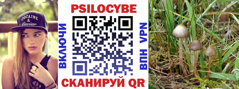 MEGA зеркало  Шарья  Галлюциногенные грибы Cubensis 